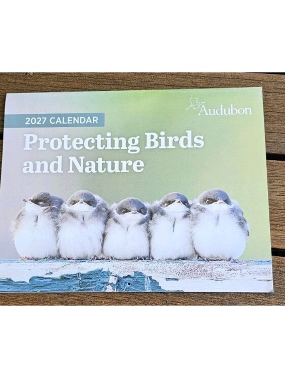 Audubon 2027 Wall Calendar Protecting Birds and Nature Audubon Calendar